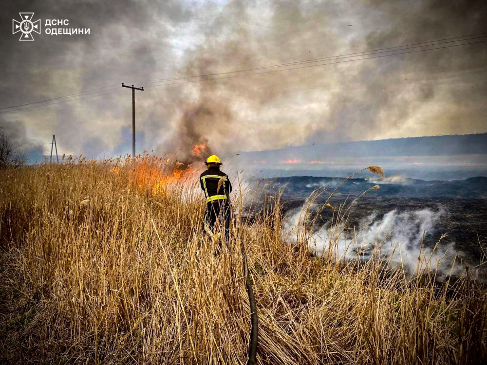 6458 image for slide