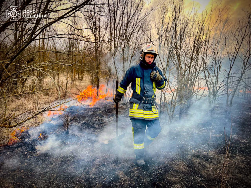 6459 image for slide