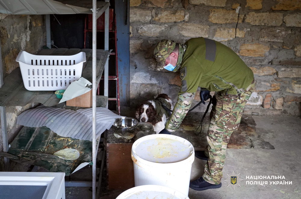 6758 image for slide