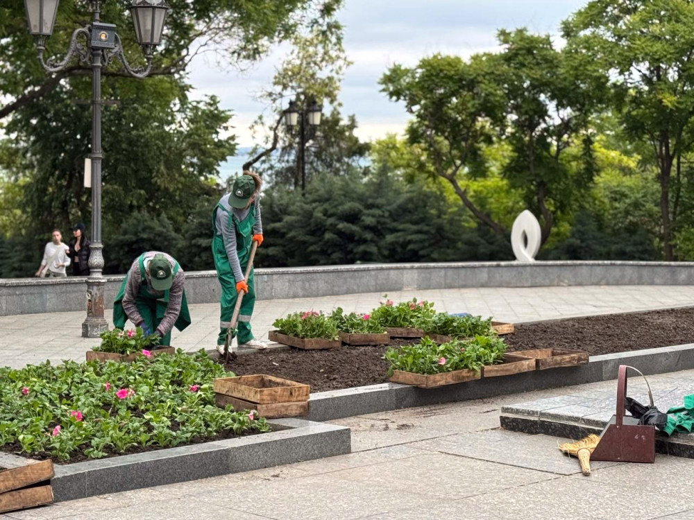 6916 image for slide