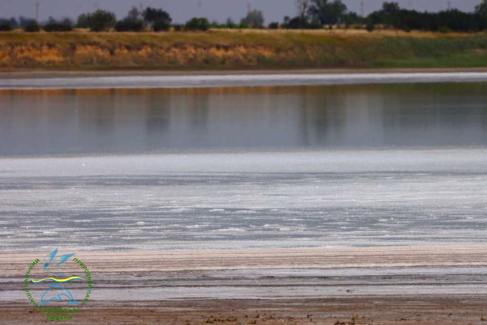 7347 image for slide