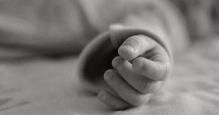 7385 image for slide