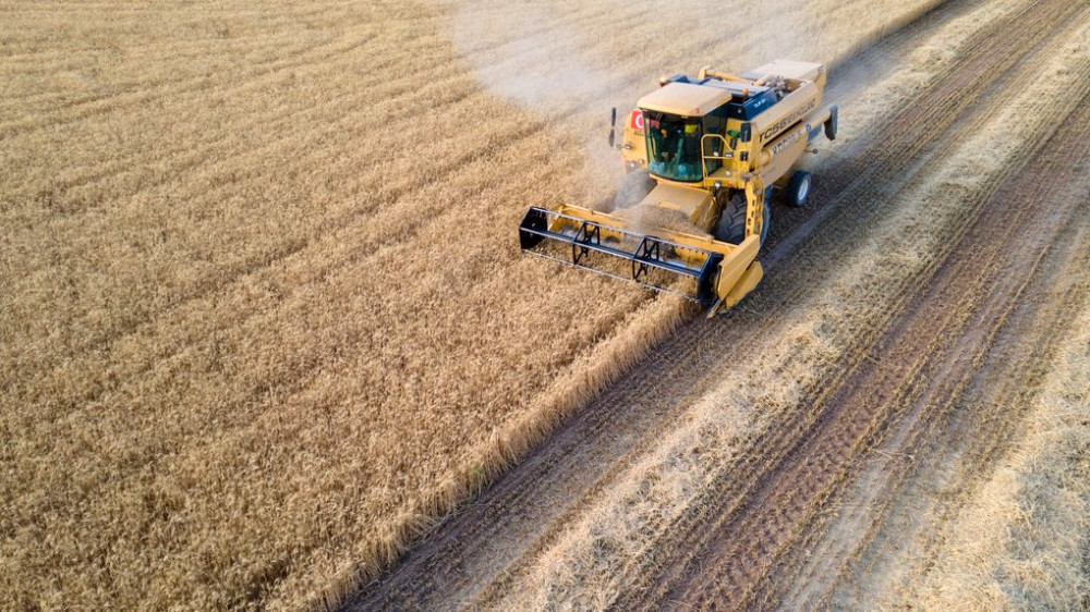 7396 image for slide