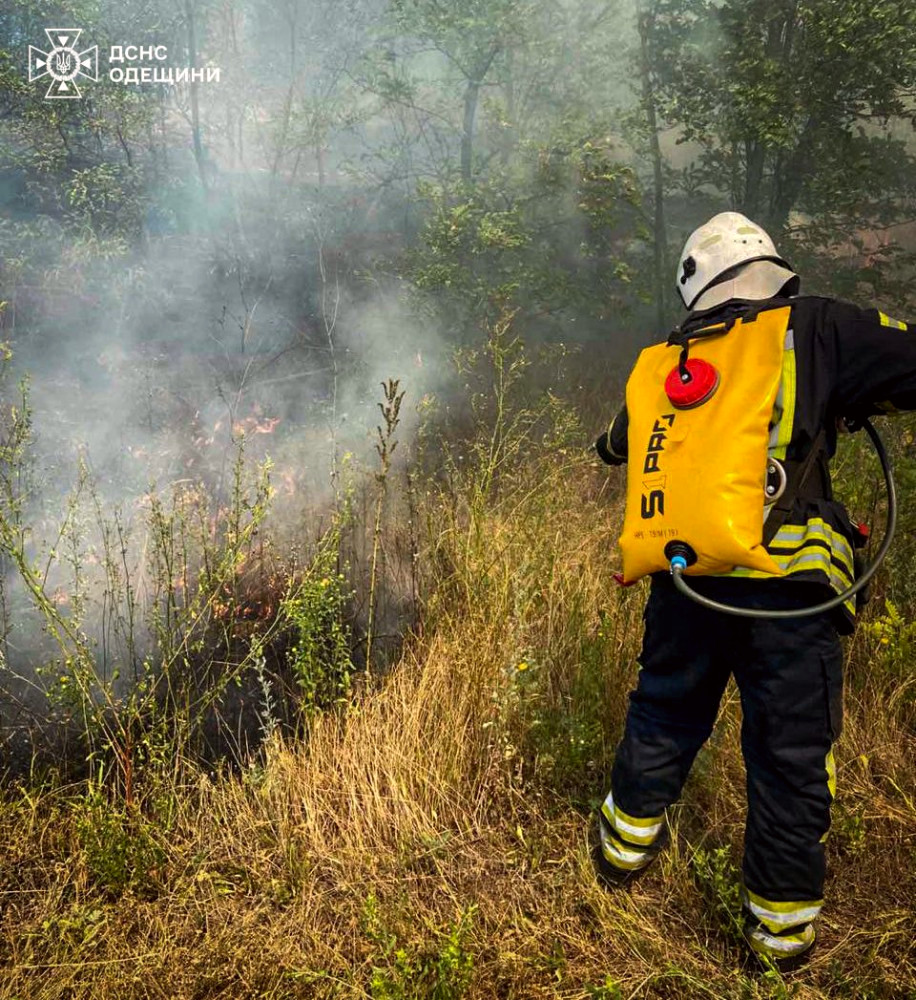 7772 image for slide