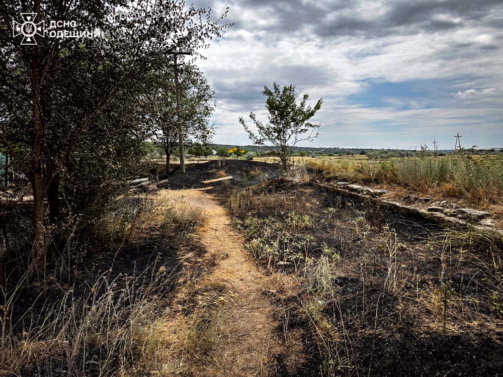 7773 image for slide