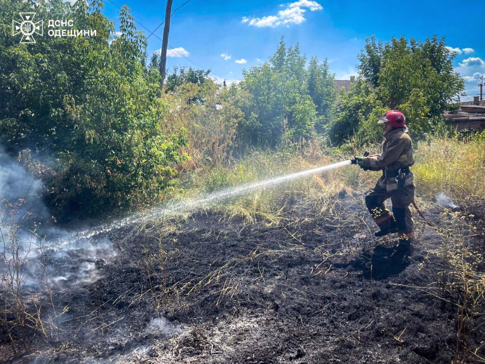 7776 image for slide