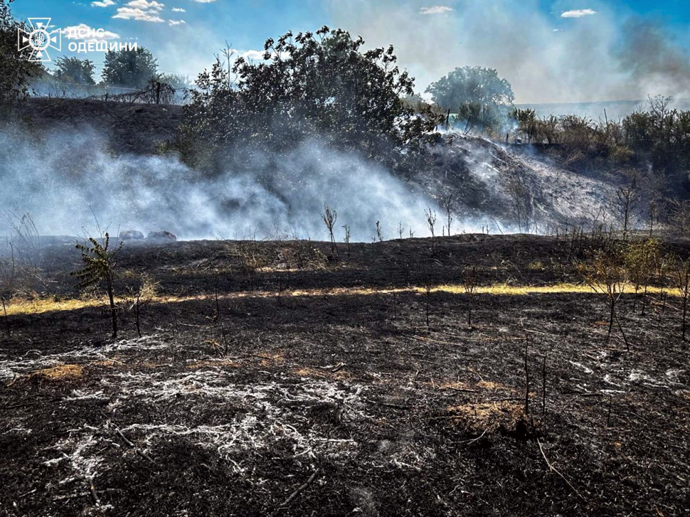 7780 image for slide