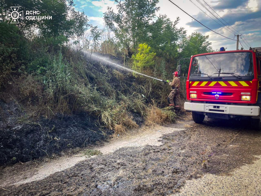 7781 image for slide