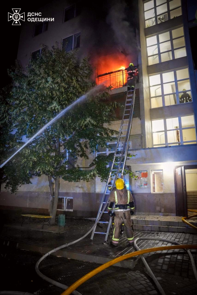 7967 image for slide