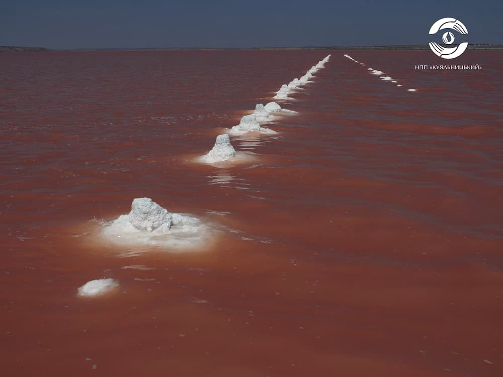 8010 image for slide