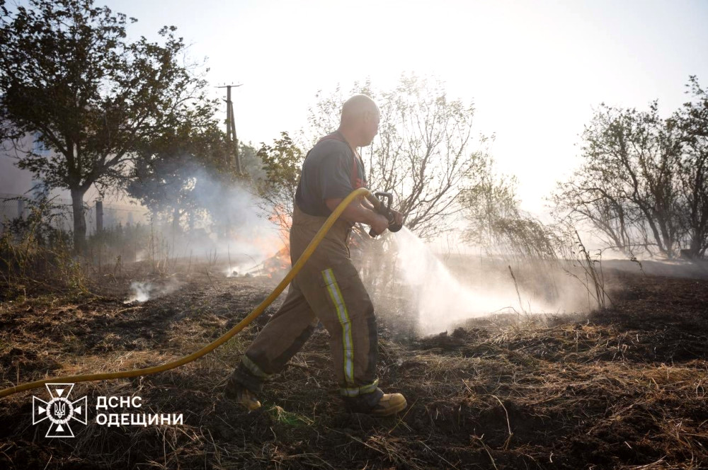 8044 image for slide