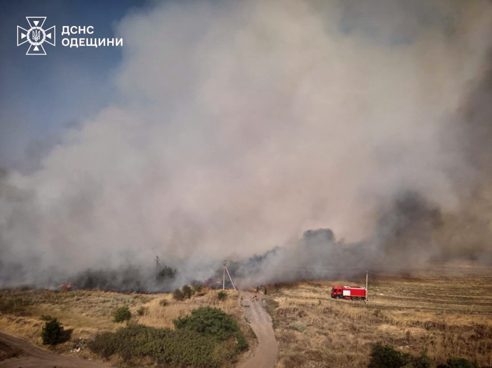 8048 image for slide