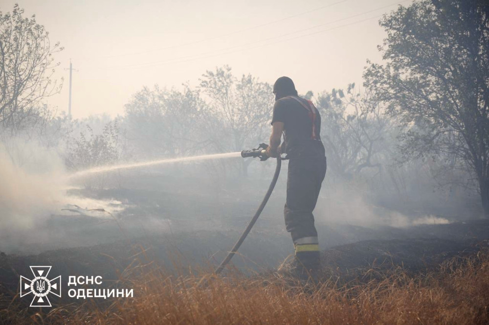 8049 image for slide