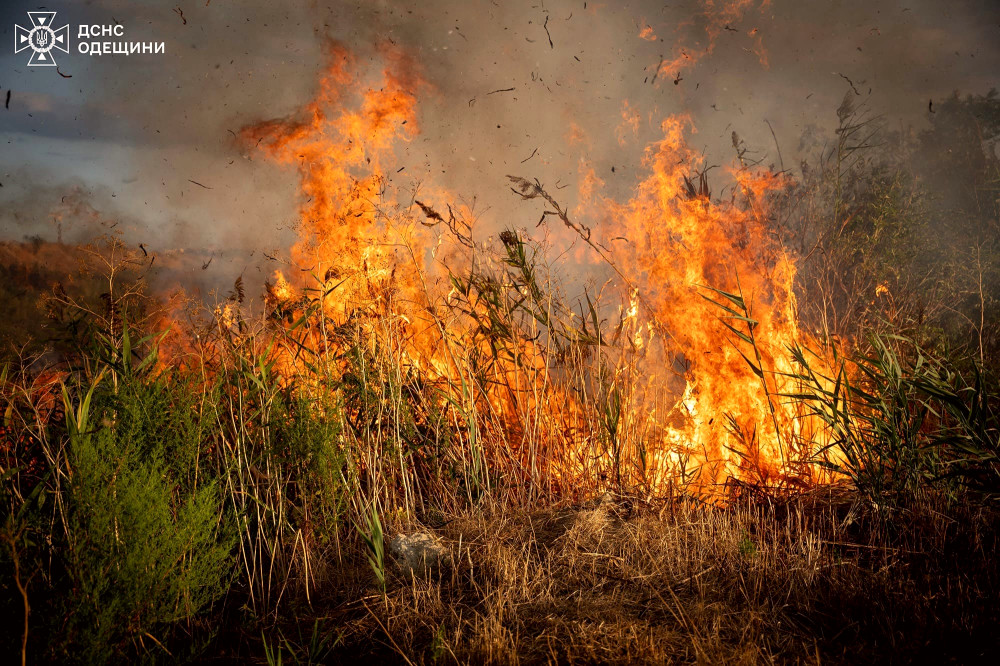 8413 image for slide