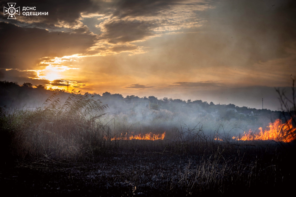 8414 image for slide