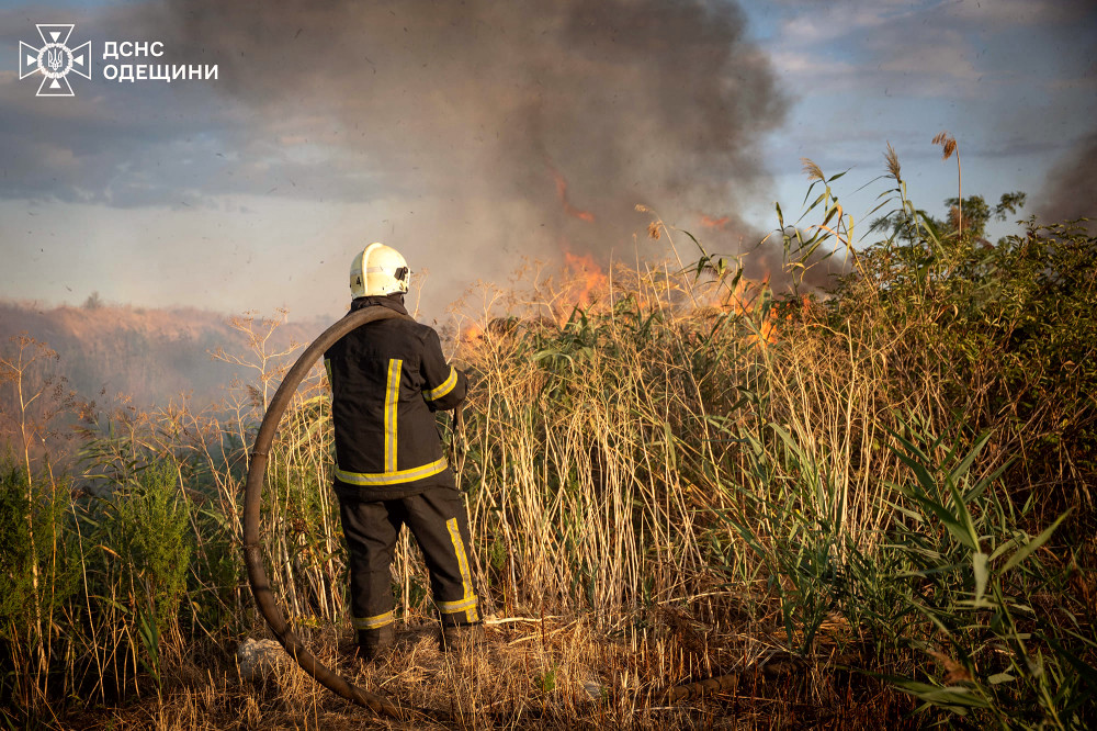 8418 image for slide