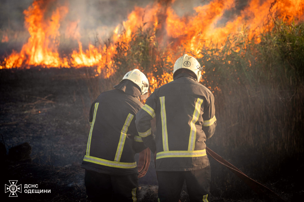 8421 image for slide