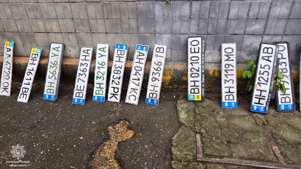 8925 image for slide