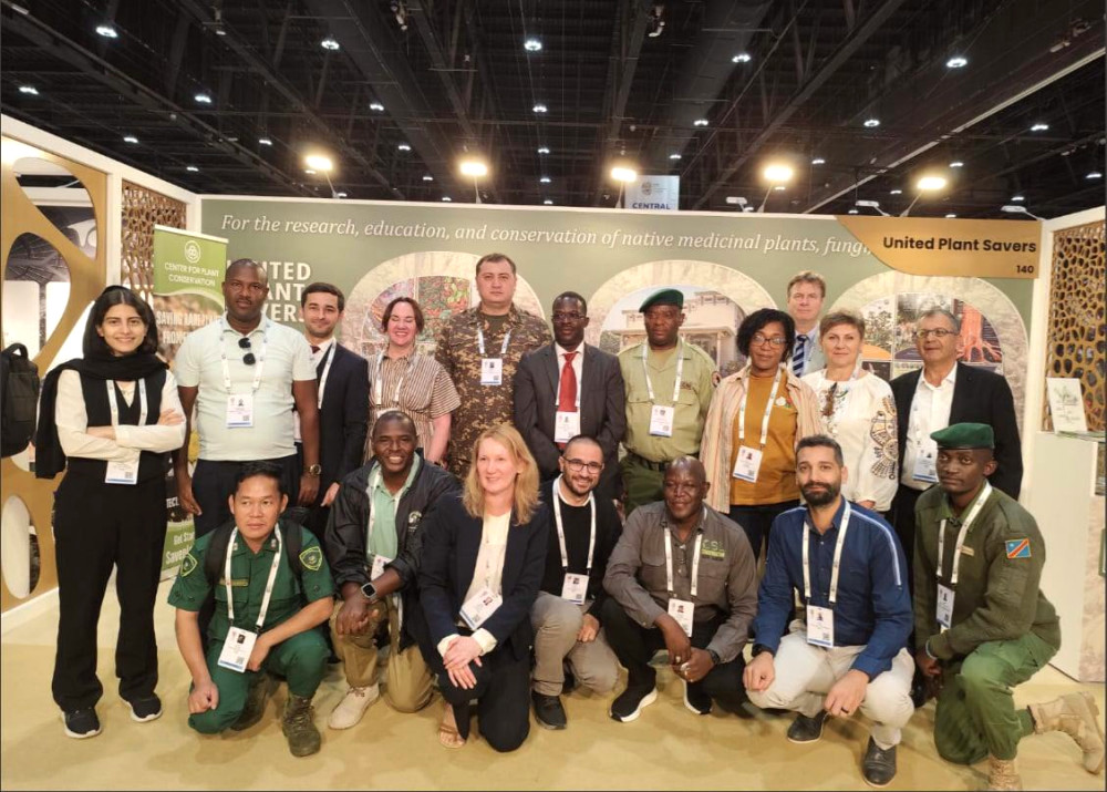 9235 image for slide