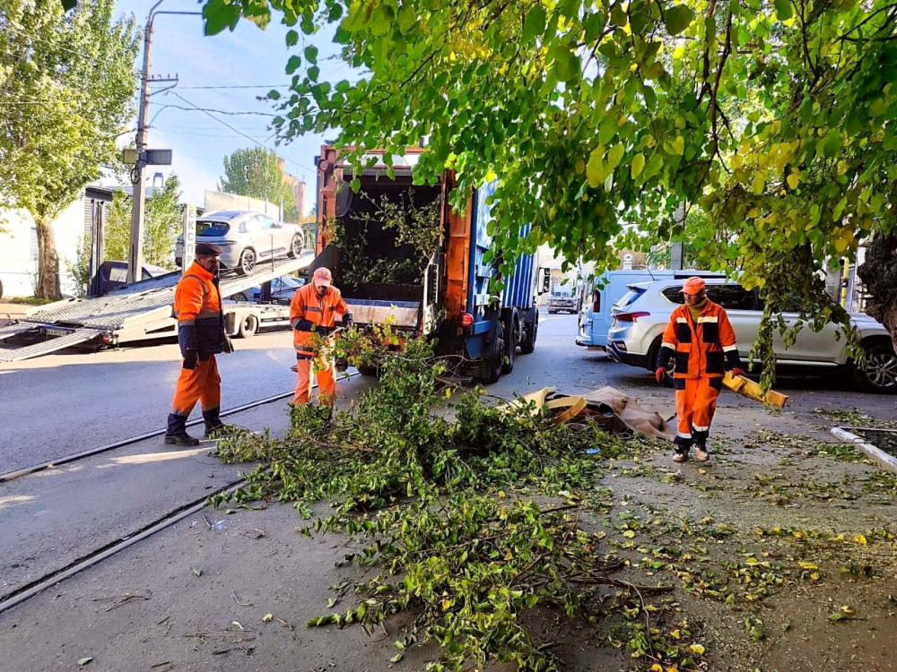 9301 image for slide