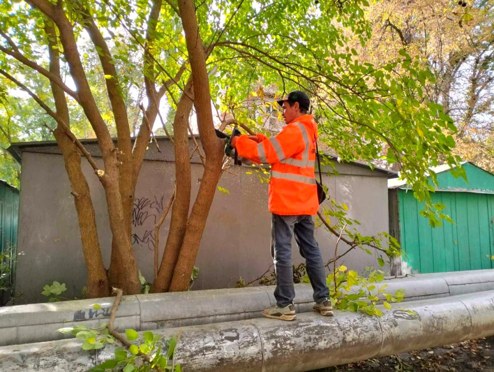 9303 image for slide