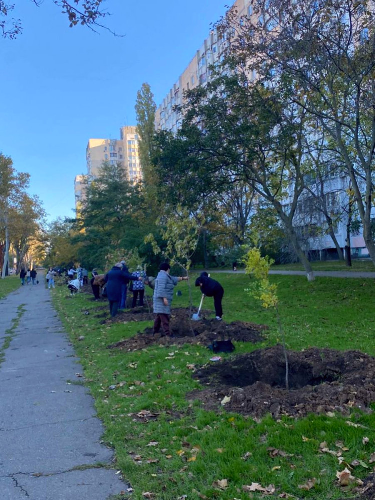 9386 image for slide