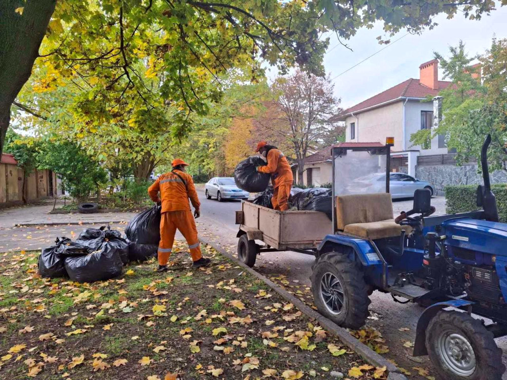 9402 image for slide