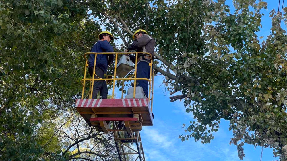 9432 image for slide