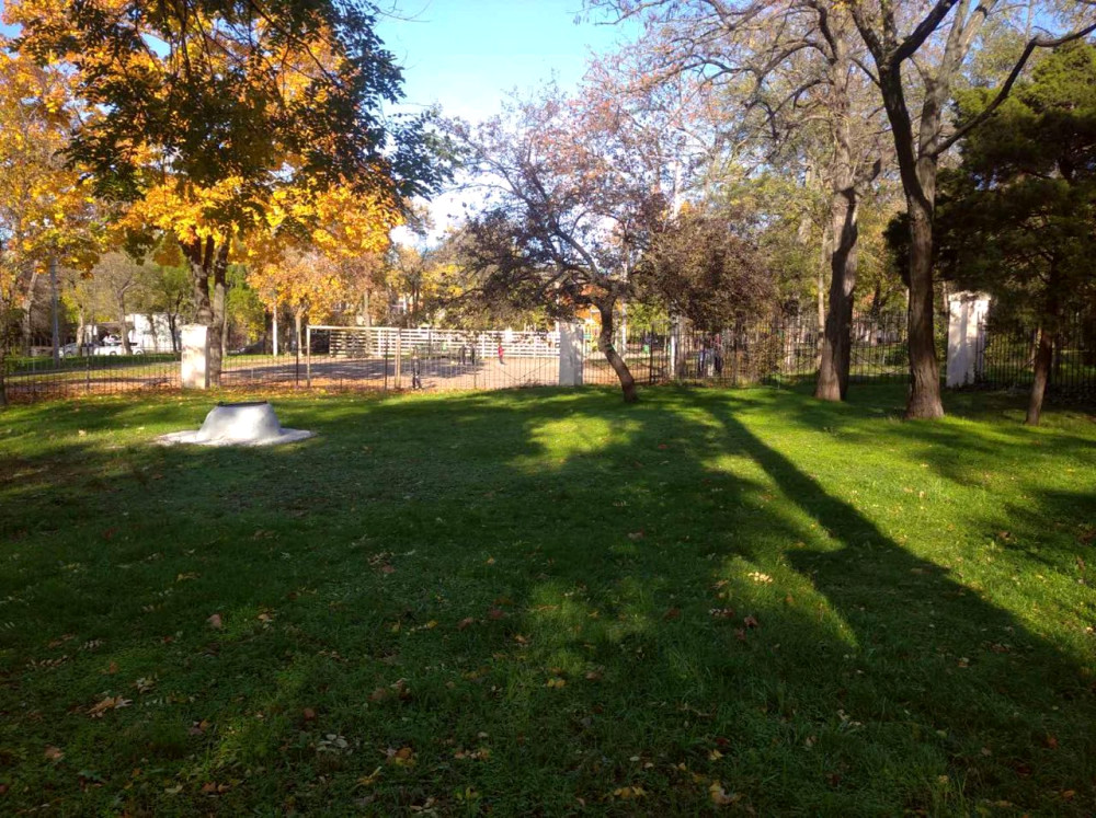 9532 image for slide