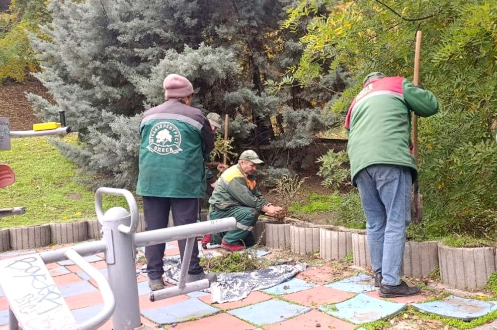 9543 image for slide