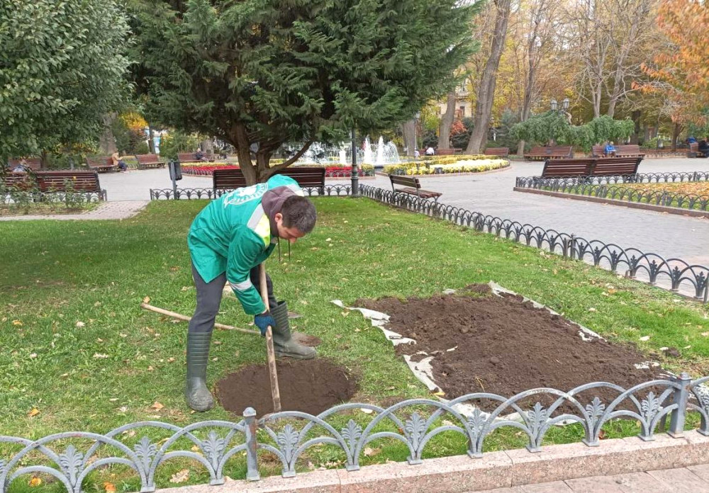 9544 image for slide