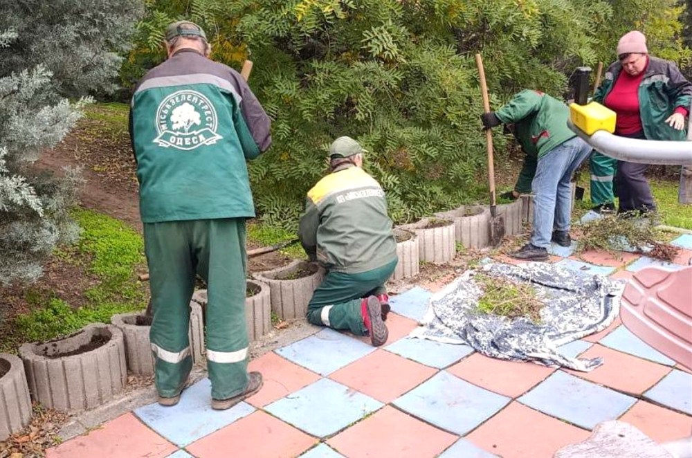 9545 image for slide