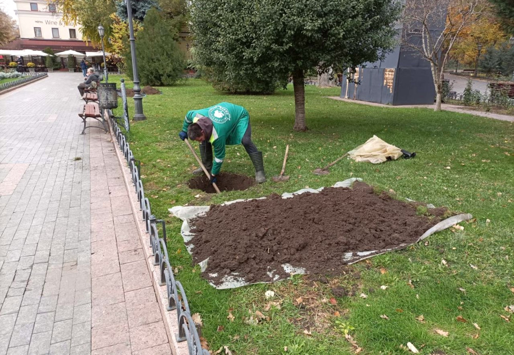 9546 image for slide