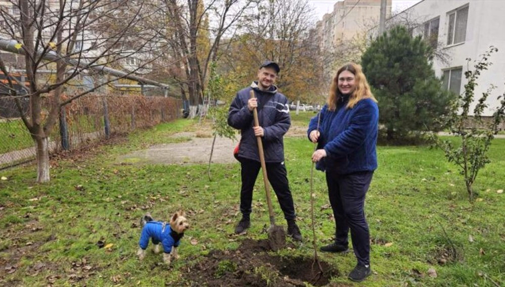 9598 image for slide