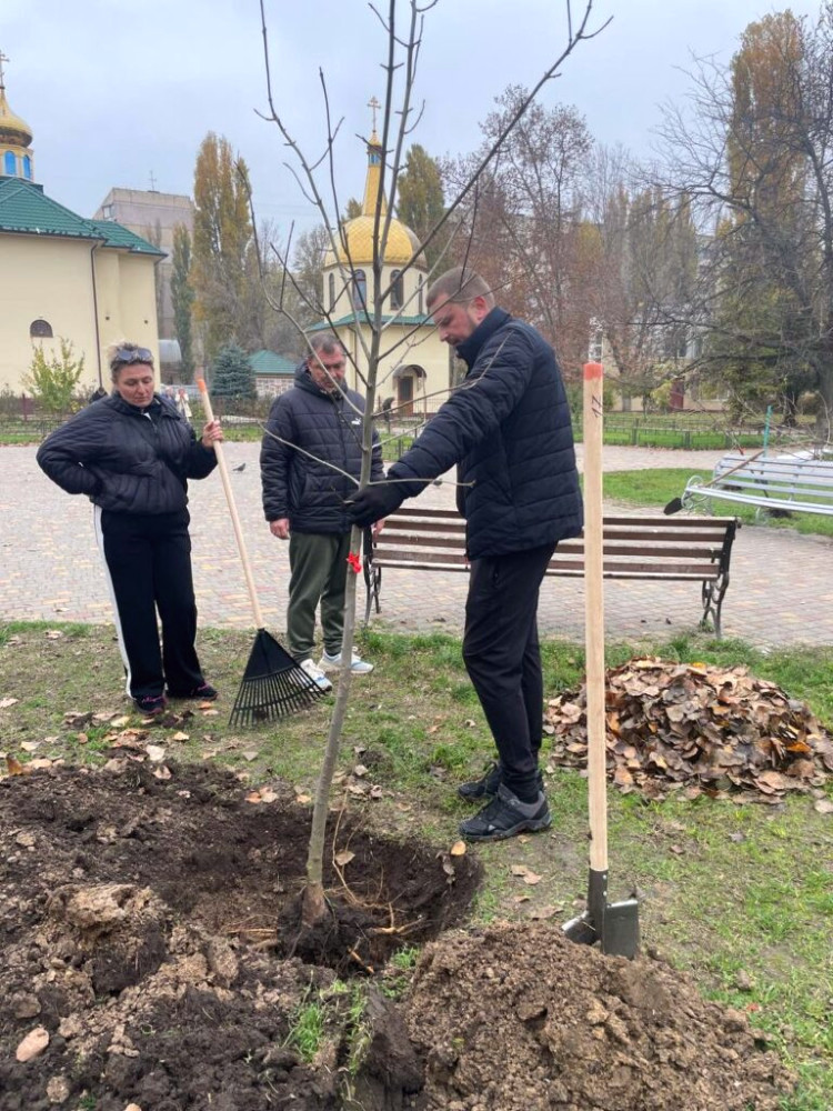 9601 image for slide