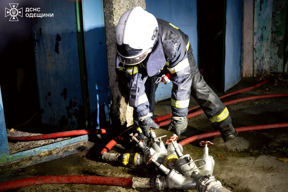 9606 image for slide