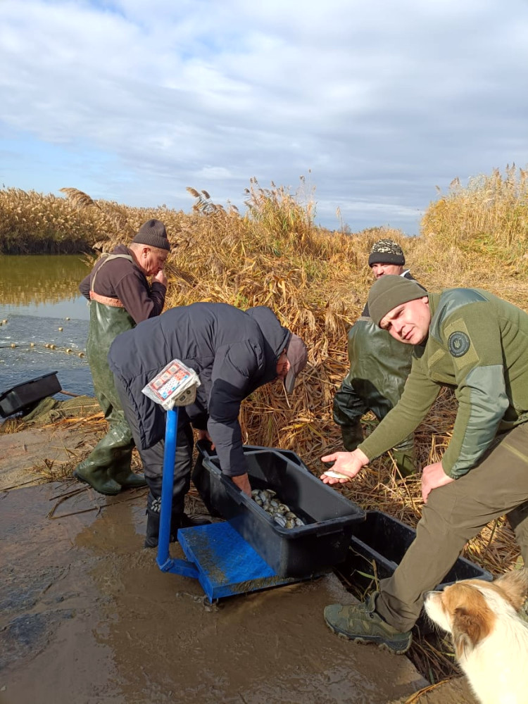 9664 image for slide