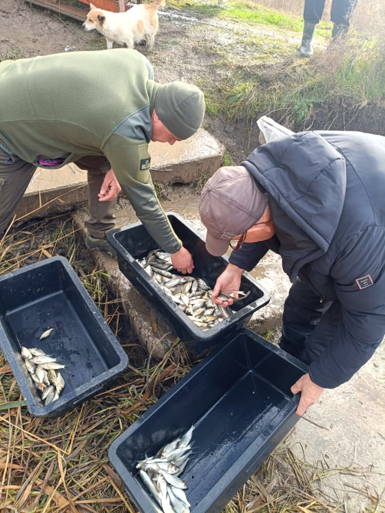 9665 image for slide