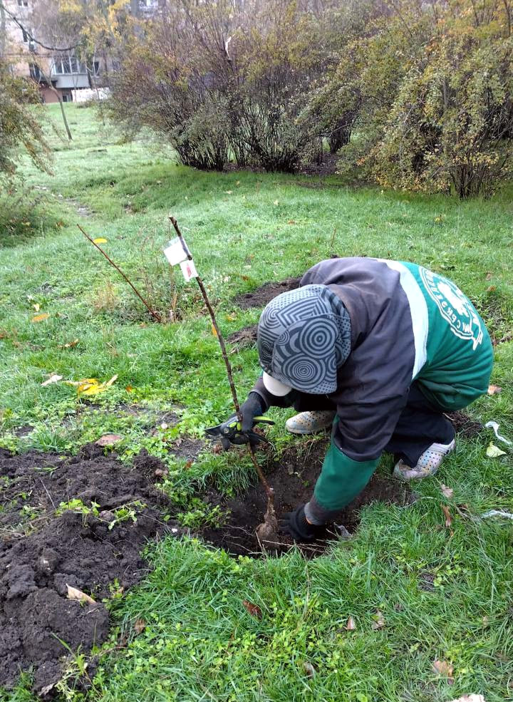 9720 image for slide