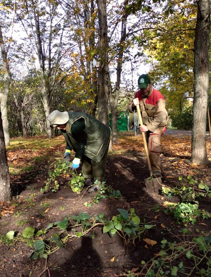 9721 image for slide