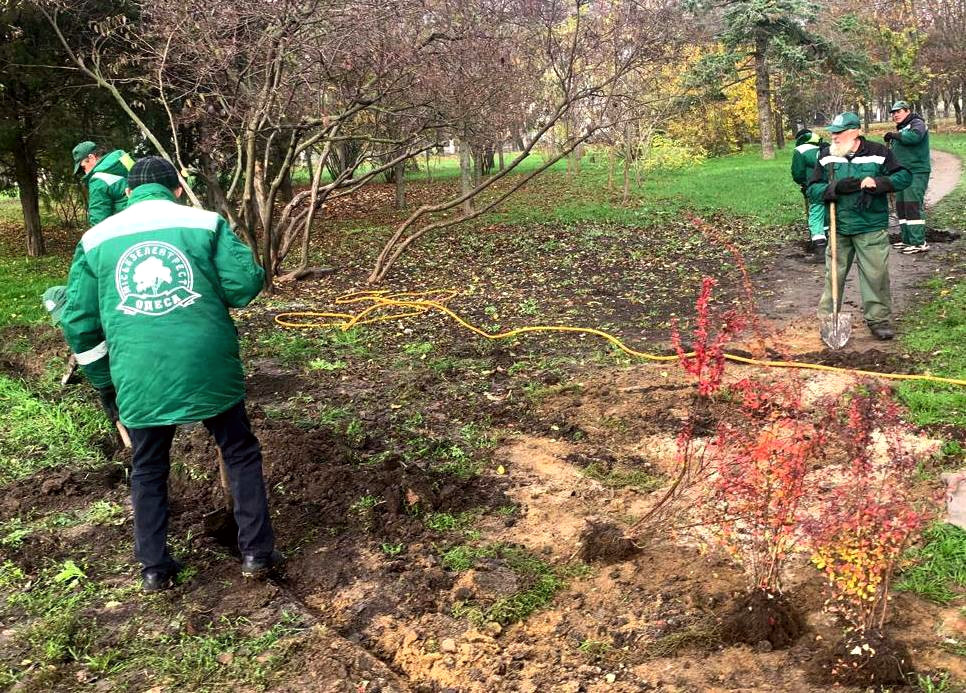 9722 image for slide