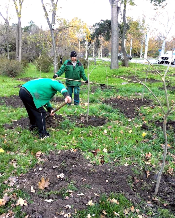 9723 image for slide