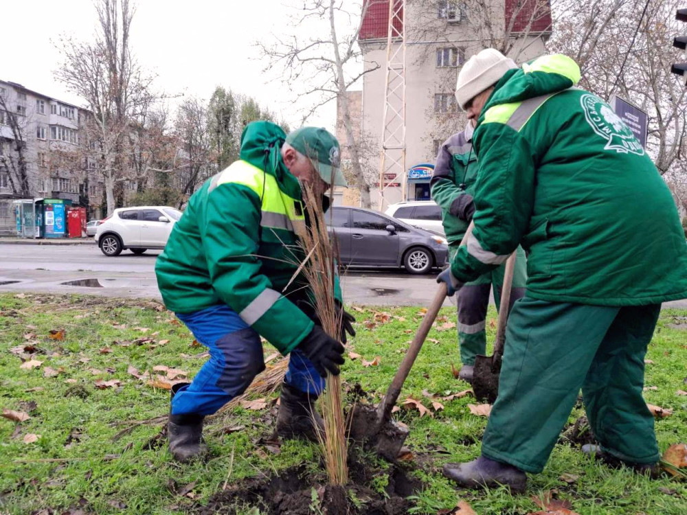 9760 image for slide