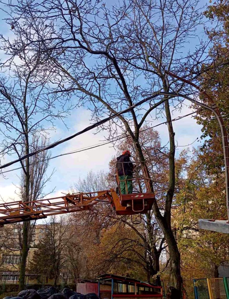 9769 image for slide