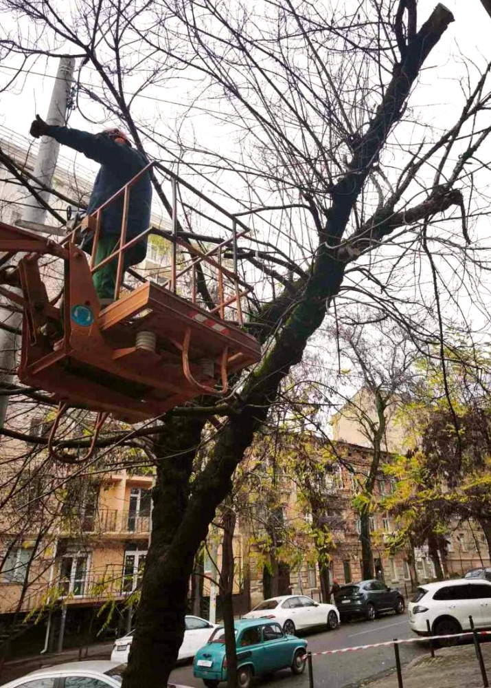 9770 image for slide