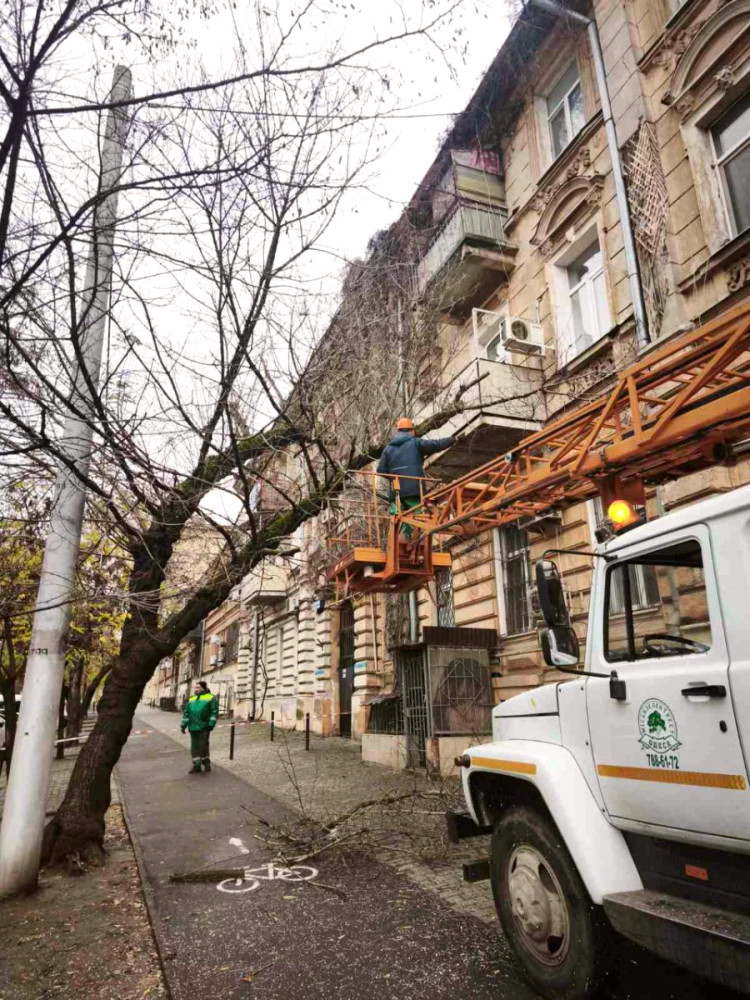 9771 image for slide