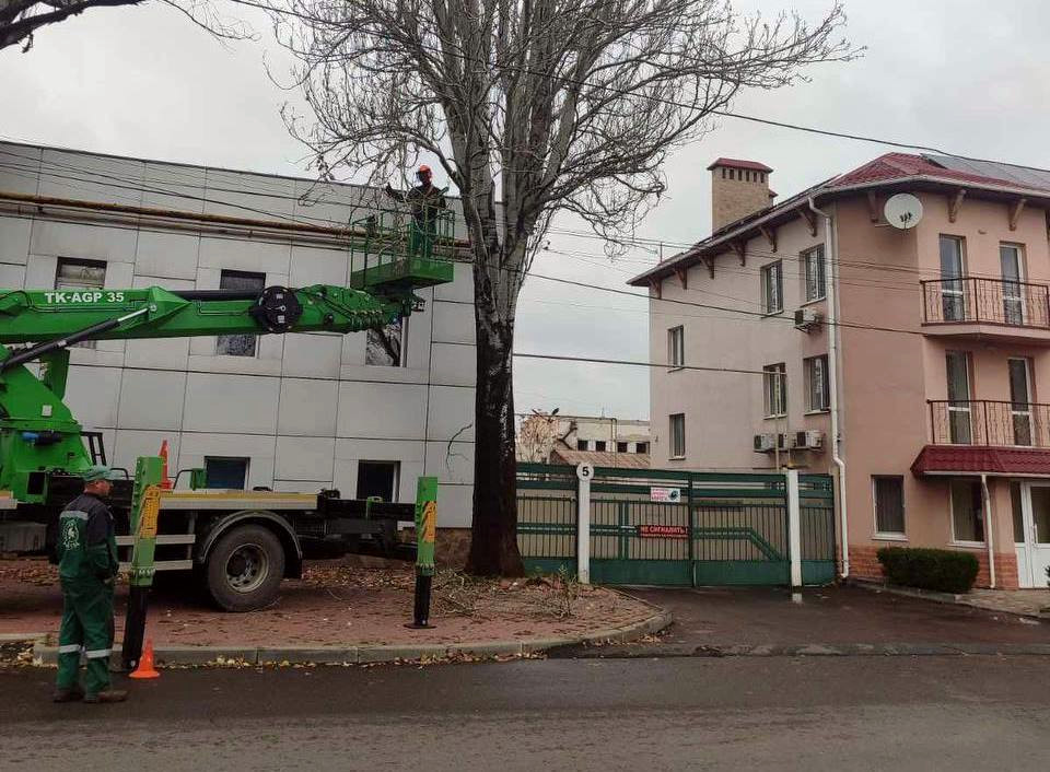 9772 image for slide