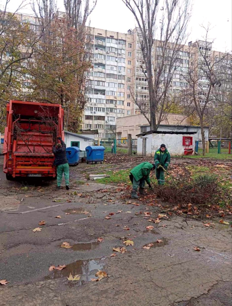 9773 image for slide