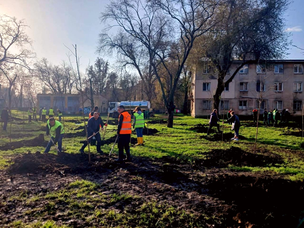 9805 image for slide