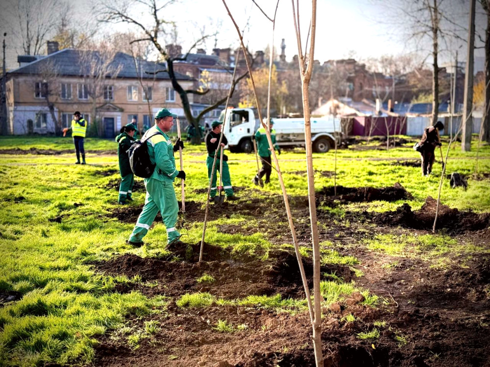 9806 image for slide